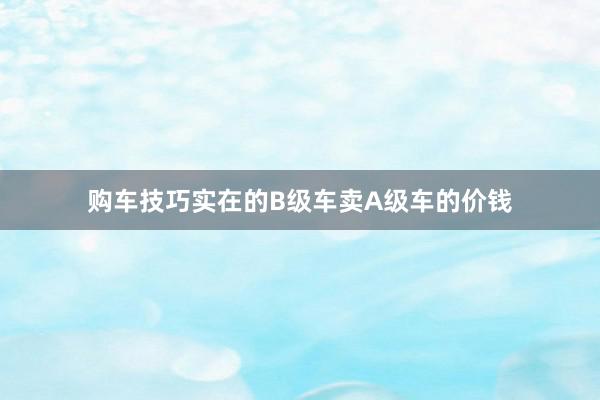 购车技巧实在的B级车卖A级车的价钱