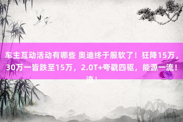 车主互动活动有哪些 奥迪终于服软了！狂降15万，30万一皆跌至15万，2.0T+夸戳四驱，能源一流！