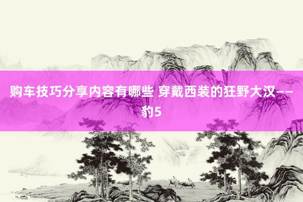 购车技巧分享内容有哪些 穿戴西装的狂野大汉——豹5