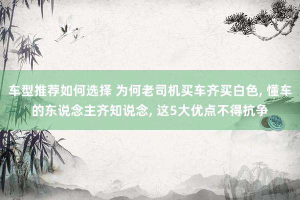 车型推荐如何选择 为何老司机买车齐买白色, 懂车的东说念主齐知说念, 这5大优点不得抗争