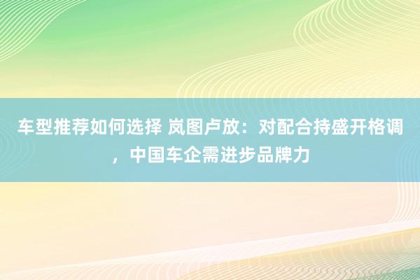 车型推荐如何选择 岚图卢放：对配合持盛开格调，中国车企需进步品牌力