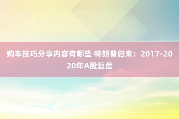 购车技巧分享内容有哪些 特朗普归来：2017-2020年A股复盘