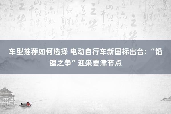 车型推荐如何选择 电动自行车新国标出台: “铅锂之争”迎来要津节点