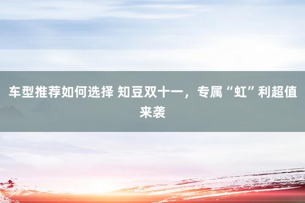 车型推荐如何选择 知豆双十一，专属“虹”利超值来袭