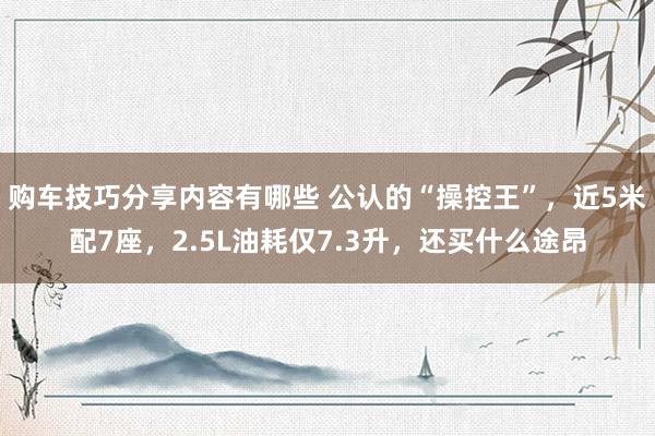 购车技巧分享内容有哪些 公认的“操控王”，近5米配7座，2.5L油耗仅7.3升，还买什么途昂