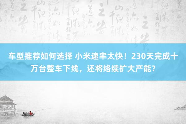 车型推荐如何选择 小米速率太快！230天完成十万台整车下线，还将络续扩大产能？