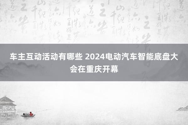 车主互动活动有哪些 2024电动汽车智能底盘大会在重庆开幕