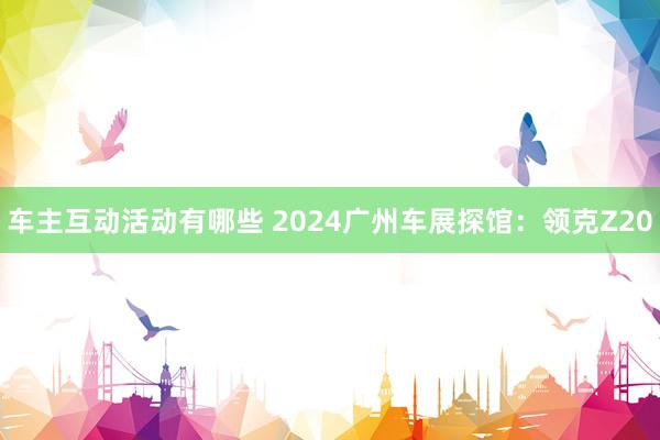 车主互动活动有哪些 2024广州车展探馆：领克Z20