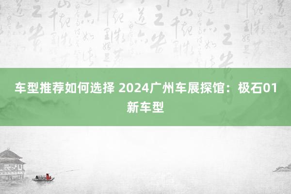 车型推荐如何选择 2024广州车展探馆：极石01新车型