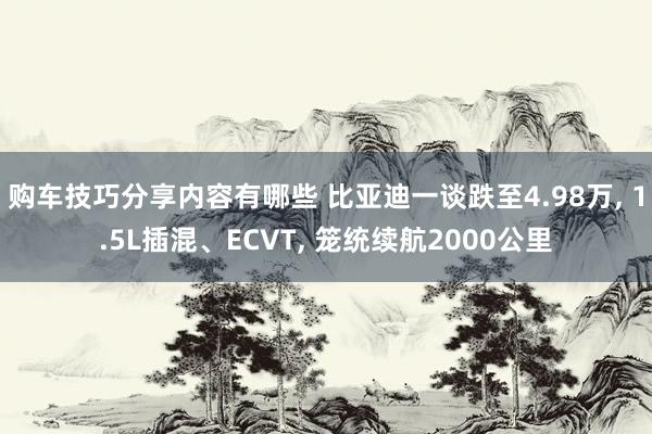 购车技巧分享内容有哪些 比亚迪一谈跌至4.98万, 1.5L插混、ECVT, 笼统续航2000公里