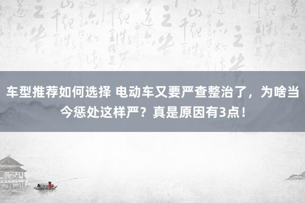 车型推荐如何选择 电动车又要严查整治了，为啥当今惩处这样严？真是原因有3点！