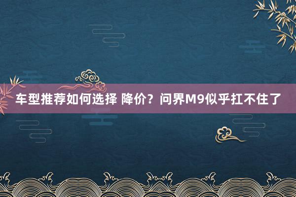 车型推荐如何选择 降价？问界M9似乎扛不住了