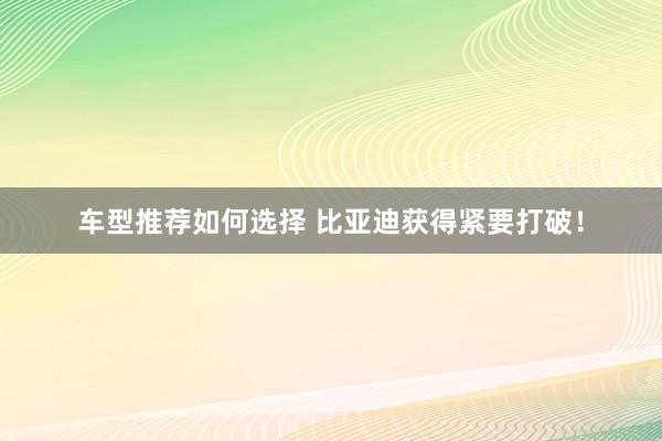 车型推荐如何选择 比亚迪获得紧要打破！