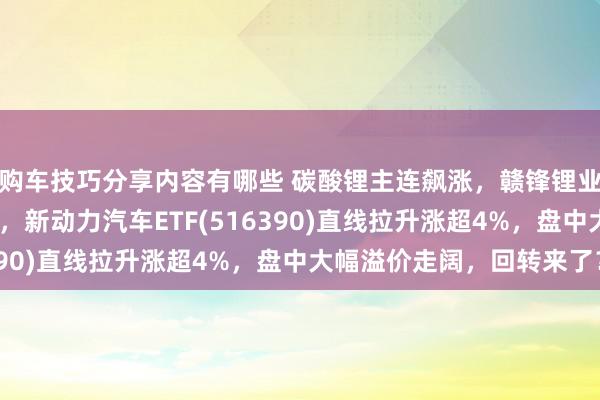 购车技巧分享内容有哪些 碳酸锂主连飙涨，赣锋锂业涨停、宁德期间涨3%，新动力汽车ETF(516390)直线拉升涨超4%，盘中大幅溢价走阔，回转来了？