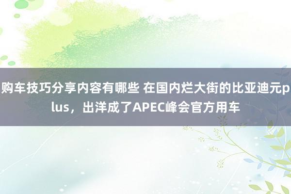 购车技巧分享内容有哪些 在国内烂大街的比亚迪元plus，出洋成了APEC峰会官方用车