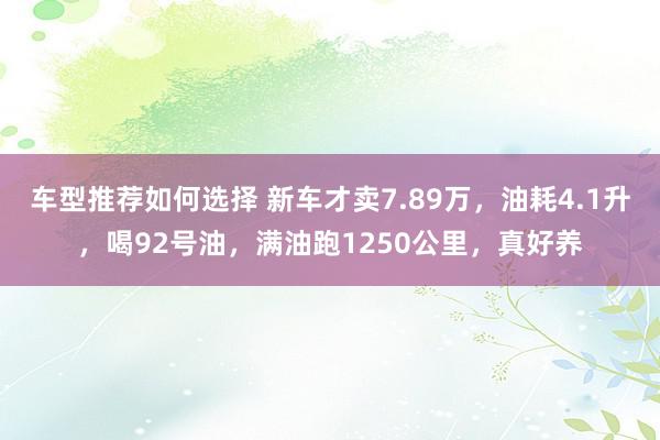 车型推荐如何选择 新车才卖7.89万，油耗4.1升，喝92号油，满油跑1250公里，真好养