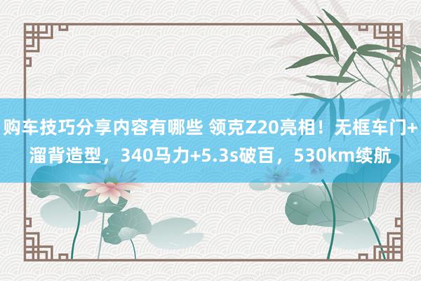 购车技巧分享内容有哪些 领克Z20亮相！无框车门+溜背造型，340马力+5.3s破百，530km续航