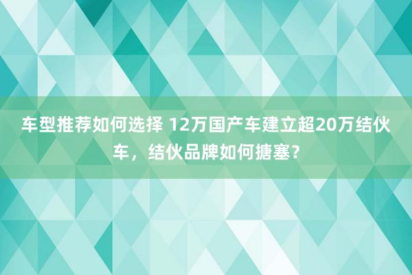 车型推荐如何选择 12万国产车建立超20万结伙车，结伙品牌如何搪塞？