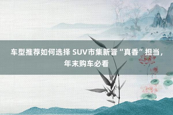 车型推荐如何选择 SUV市集新晋“真香”担当，年末购车必看