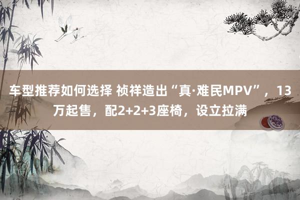 车型推荐如何选择 祯祥造出“真·难民MPV”，13万起售，配2+2+3座椅，设立拉满