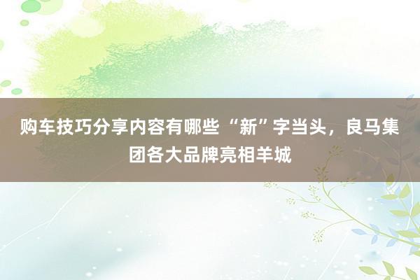 购车技巧分享内容有哪些 “新”字当头，良马集团各大品牌亮相羊城