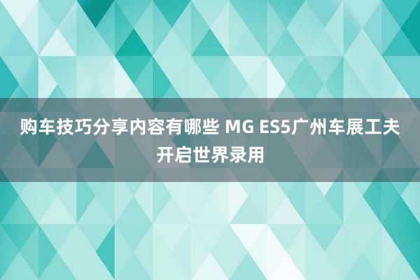 购车技巧分享内容有哪些 MG ES5广州车展工夫开启世界录用