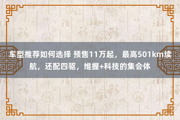 车型推荐如何选择 预售11万起，最高501km续航，还配四驱，维握+科技的集会体