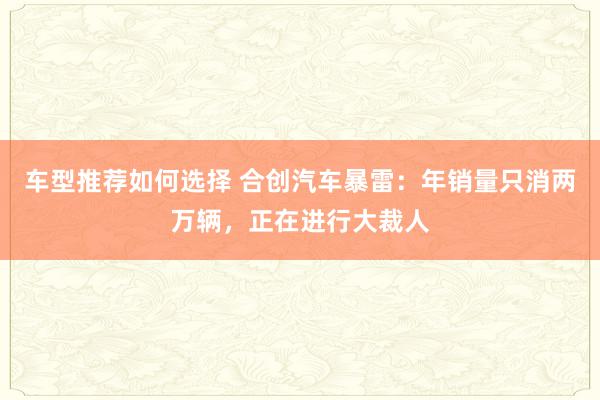 车型推荐如何选择 合创汽车暴雷：年销量只消两万辆，正在进行大裁人