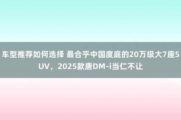 车型推荐如何选择 最合乎中国度庭的20万级大7座SUV，2025款唐DM-i当仁不让