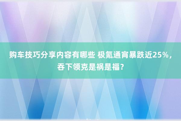 购车技巧分享内容有哪些 极氪通宵暴跌近25%，吞下领克是祸是福？