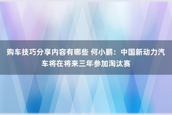 购车技巧分享内容有哪些 何小鹏：中国新动力汽车将在将来三年参加淘汰赛