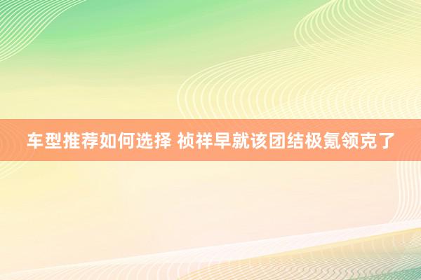 车型推荐如何选择 祯祥早就该团结极氪领克了