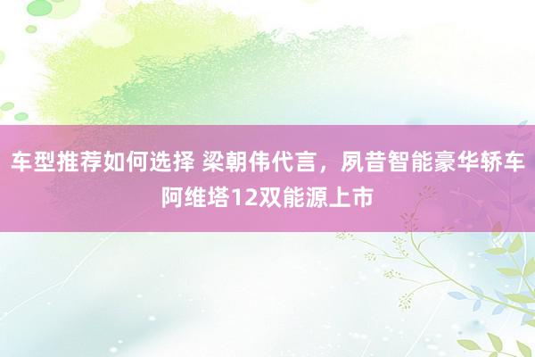 车型推荐如何选择 梁朝伟代言，夙昔智能豪华轿车阿维塔12双能源上市