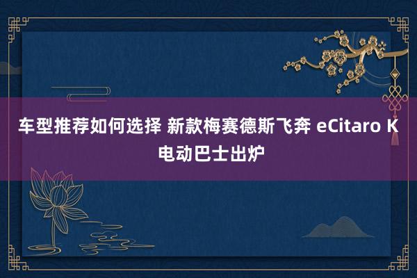 车型推荐如何选择 新款梅赛德斯飞奔 eCitaro K 电动巴士出炉