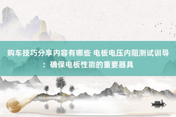 购车技巧分享内容有哪些 电板电压内阻测试训导：确保电板性能的重要器具