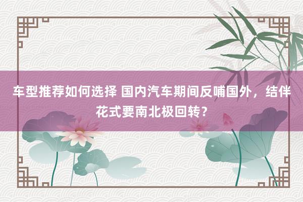 车型推荐如何选择 国内汽车期间反哺国外，结伴花式要南北极回转？