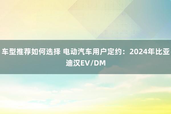 车型推荐如何选择 电动汽车用户定约：2024年比亚迪汉EV/DM