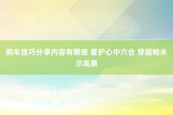 购车技巧分享内容有哪些 看护心中六合 穿越帕米尔高原