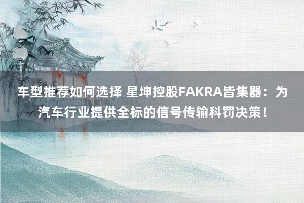 车型推荐如何选择 星坤控股FAKRA皆集器：为汽车行业提供全标的信号传输科罚决策！