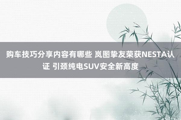 购车技巧分享内容有哪些 岚图挚友荣获NESTA认证 引颈纯电SUV安全新高度