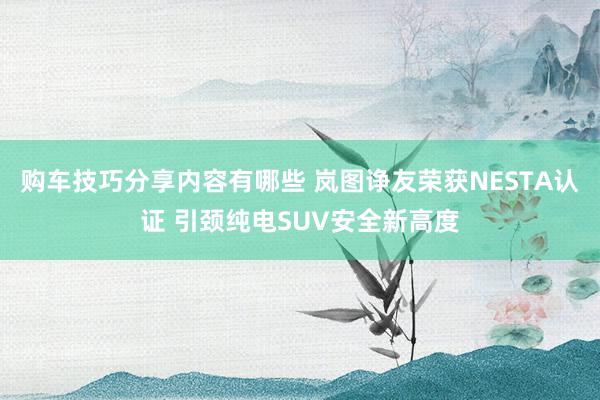 购车技巧分享内容有哪些 岚图诤友荣获NESTA认证 引颈纯电SUV安全新高度