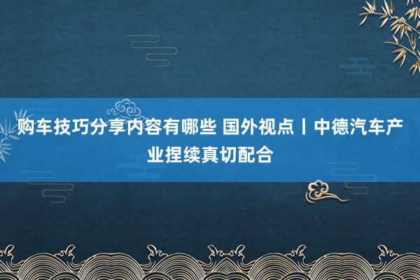 购车技巧分享内容有哪些 国外视点丨中德汽车产业捏续真切配合