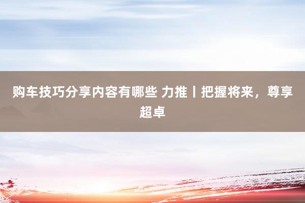 购车技巧分享内容有哪些 力推丨把握将来，尊享超卓