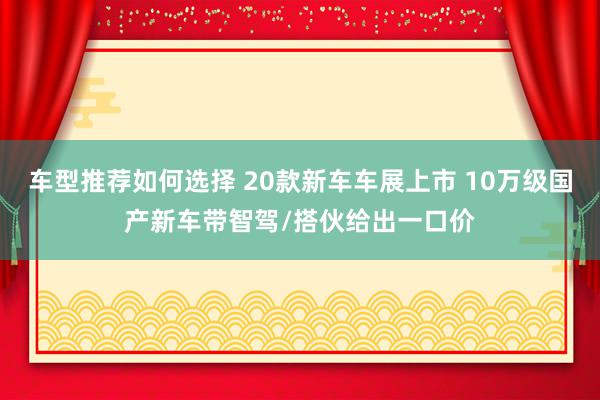 车型推荐如何选择 20款新车车展上市 10万级国产新车带智驾/搭伙给出一口价