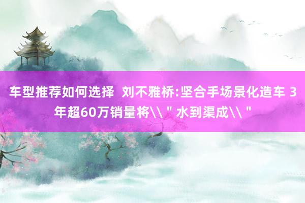 车型推荐如何选择  刘不雅桥:坚合手场景化造车 3年超60万销量将\＂水到渠成\＂