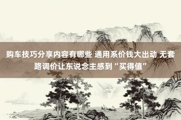 购车技巧分享内容有哪些 通用系价钱大出动 无套路调价让东说念主感到“买得值”