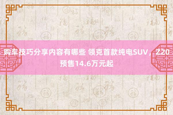 购车技巧分享内容有哪些 领克首款纯电SUV，Z20预售14.6万元起