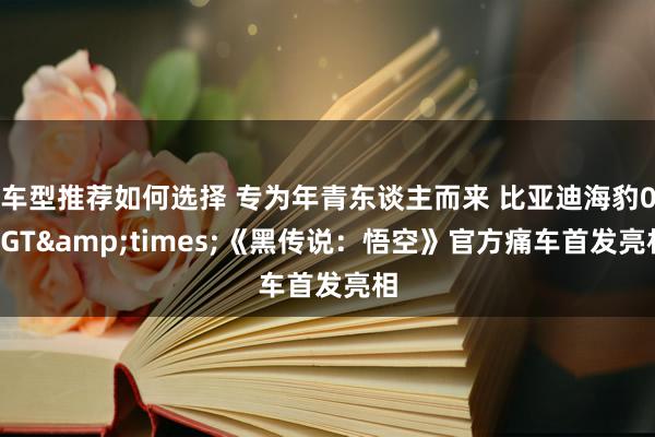 车型推荐如何选择 专为年青东谈主而来 比亚迪海豹06GT&times;《黑传说：悟空》官方痛车首发亮相