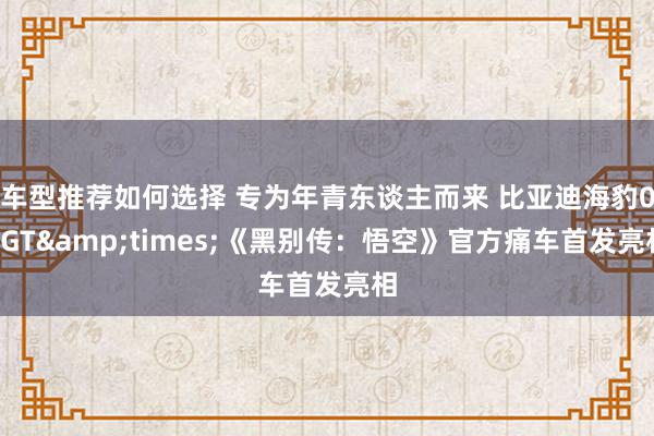 车型推荐如何选择 专为年青东谈主而来 比亚迪海豹06GT&times;《黑别传：悟空》官方痛