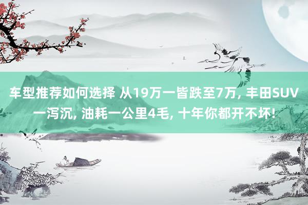 车型推荐如何选择 从19万一皆跌至7万, 丰田SUV一泻沉, 油耗一公里4毛, 十年你都开不坏!